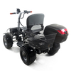 WISKING Brushless-Motorpark verwendet Mobilitätsroller für Golf